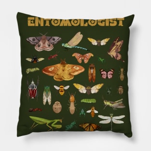 Entomologist Pillow