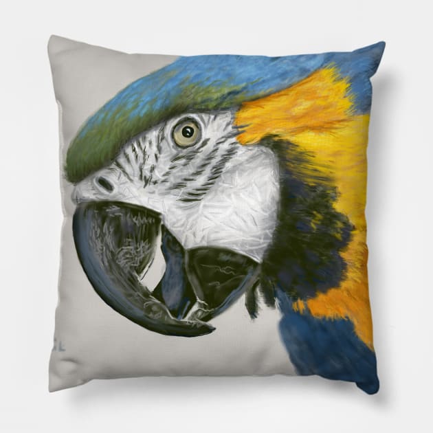 Blue and Gold Macaw Parrot Pillow by Dudzik Art