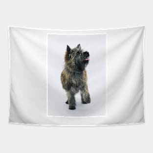 Cairn Terrier Tapestry