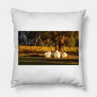 Autumn in the Vines - Adelaide Hills Wine Region - Fleurieu Peninsula - South Australia by Avril Thomas Pillow