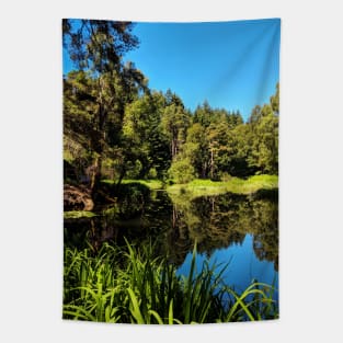 Faskally Forest, Scotland Tapestry