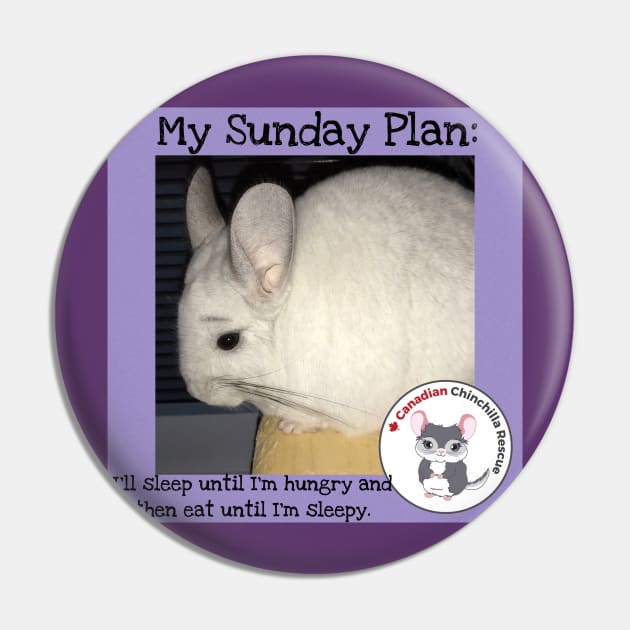 Chinchilla inspirational thoughts Pin by canchinrescue