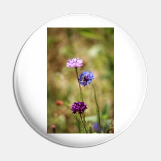 Bachelor Button Flowers Pin