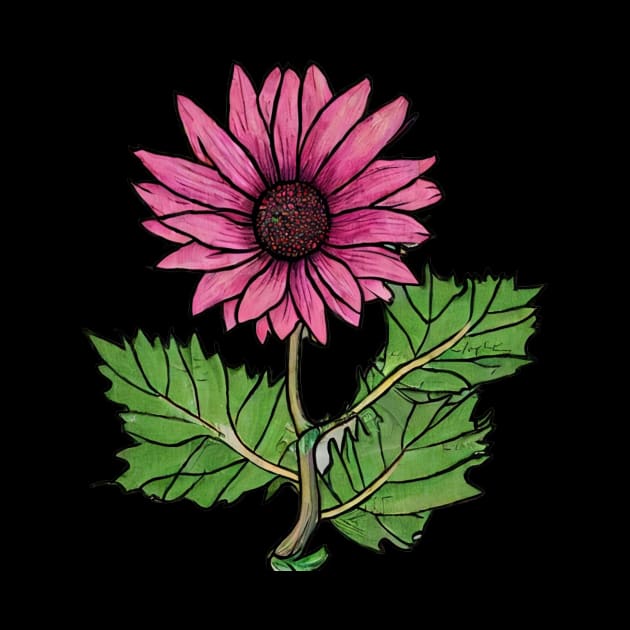 Pink Flower Drawing by PhotoSphere