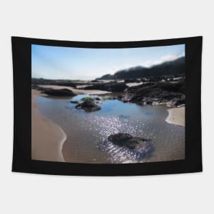 Rock Pool Perfection Tapestry