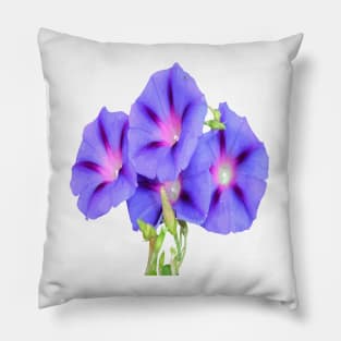 A Glorious Morning Ipomoea Vector Cut Out Pillow