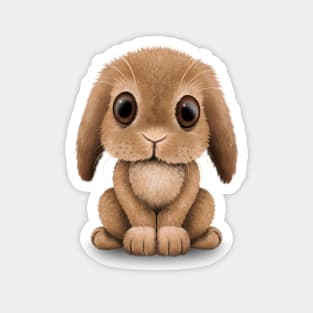 Cute Brown Baby Bunny Rabbit Magnet