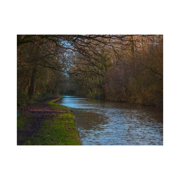 Canal under Cover in the winters sun by avrilharris