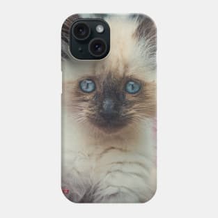 Cute kitty Phone Case