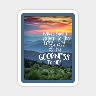 What shall I return for all His goodness to me? Psalm 116:12 Magnet