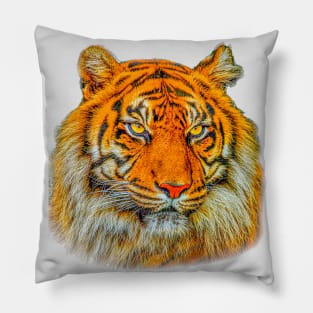 Sumatran Tigers Head Pillow