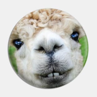 Funny Cute Alpaca Pin