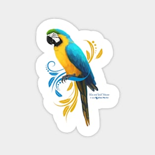 Blue and Gold Macaw Magnet