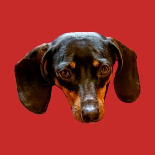 Dachshund T-Shirt