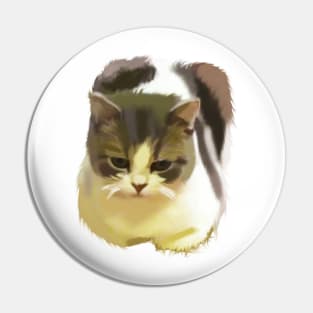 Sitting bread loaf meme funny cat Pin