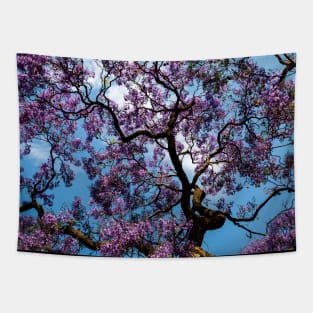 Jacaranda Tapestry