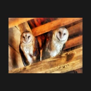 Owls - Two Barn Owls T-Shirt