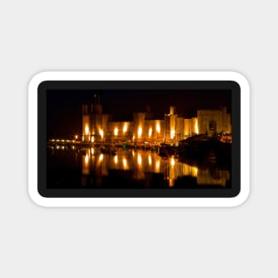 'CASTLE LIGHTS BY NIGHT' Magnet