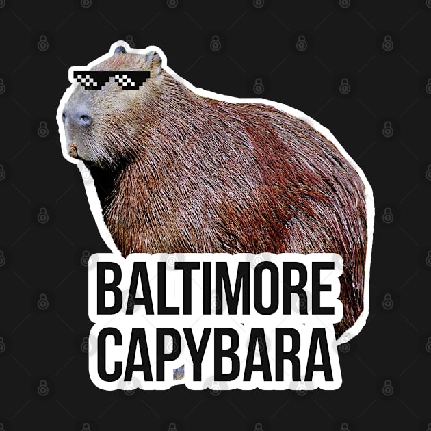 Baltimore capybara meme by NeedsFulfilled