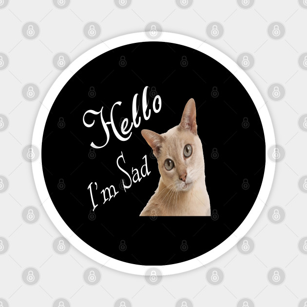 Hello My Cat Sad My Cat Magnet Teepublic