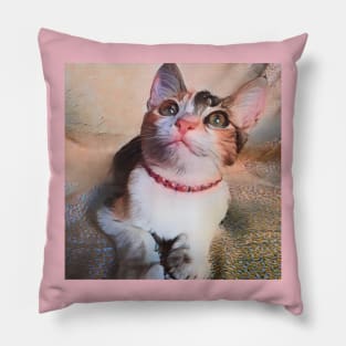 THE ADORABLE LOOK CAT Pillow