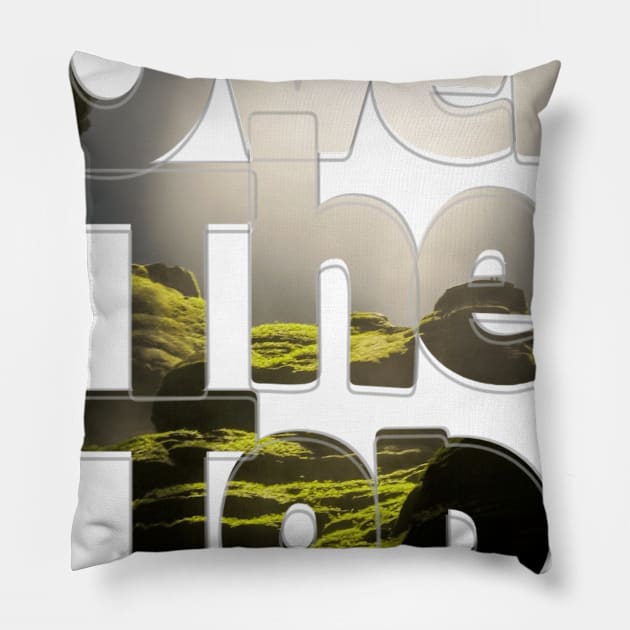 Over The Top Pillow by afternoontees