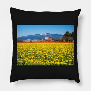 Tulip Field Pillow