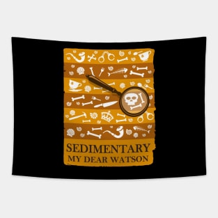 Sedimentary Watson Tapestry