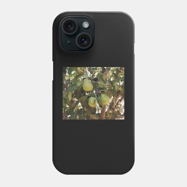 A tree bearing fruit Phone Case by daghlashassan