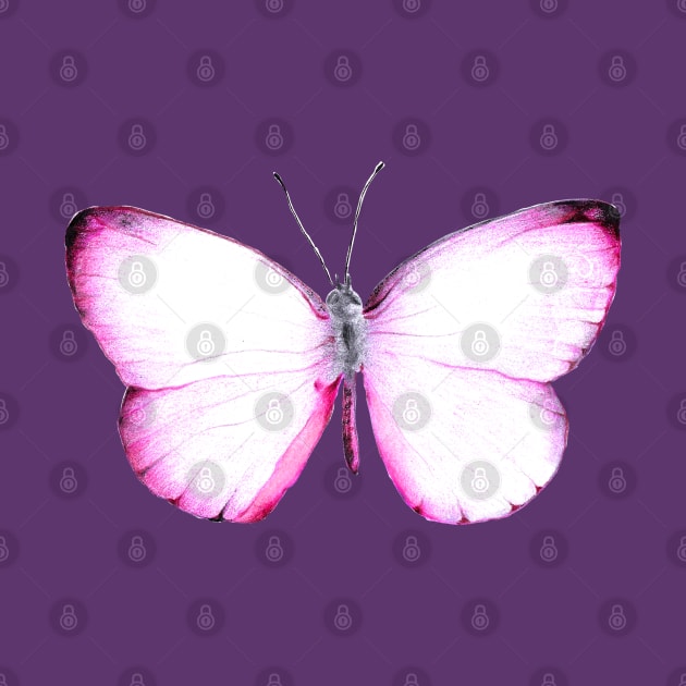 Hand drawn Pink Butterfly on Pastel Gradient Background by Neginmf