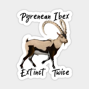 Ibex - Extinct Twice Magnet