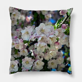 Spring Flowers in Portland Pillow