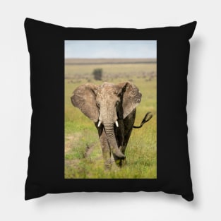 Elephant on the Serengeti, Tanzania Pillow