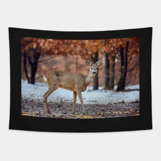 Roe deer in the forest Tapestry