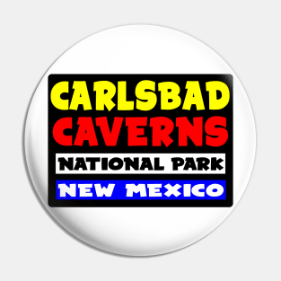 CARLSBAD CAVERNS NATIONAL PARK NEW MEXICO VINTAGE TRAVEL Pin