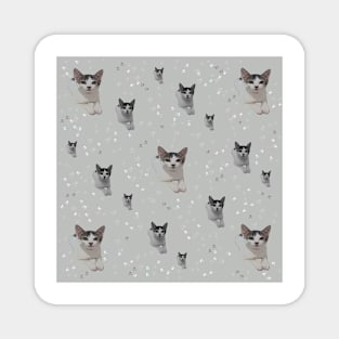 Cats pattern. Magnet