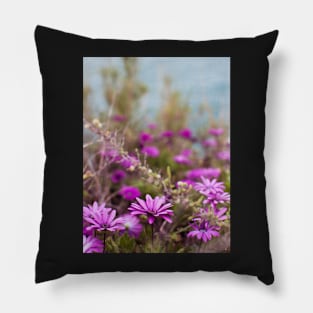 Algarve's Flowers Pillow