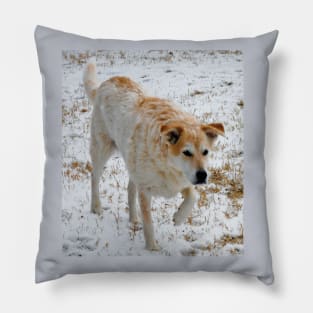 Australian Cattle dog in the snow Pillow