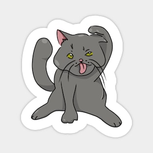 Cute Fat Grey Cat Magnet