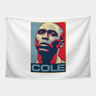 Cole Tapestry