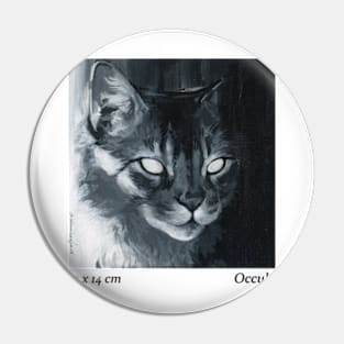 hidden cat Pin