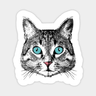 Cat Face With Blue Eyes Magnet