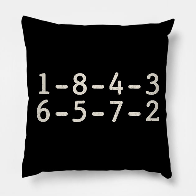 1843 ~ 1-8-4-3-6-5-7-2 Firing Order Funny Pillow by FFAFFF