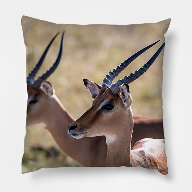 African Impalas Pillow by Memories4you