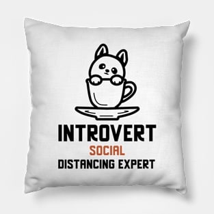 Introvert Social Distancing Expert Pillow