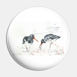 Oyster catchers Pin