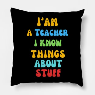 I'm A Teacher, I Know Things About Stuff. Pillow