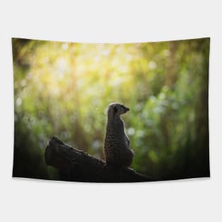 Meerkat Tapestry