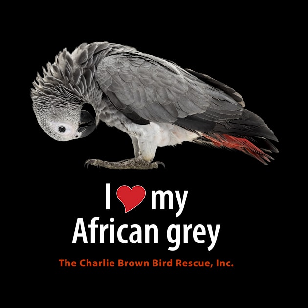 CB African Grey 1 by Just Winging It Designs