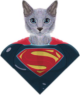 SUPERCAT Magnet